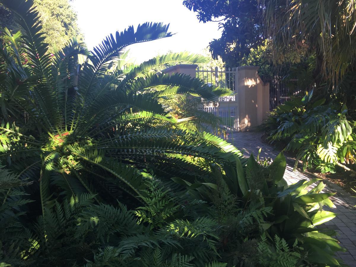 Constantia Valley Lodge Cape Town Exterior foto